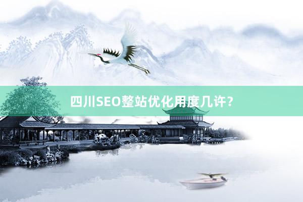 四川SEO整站优化用度几许？