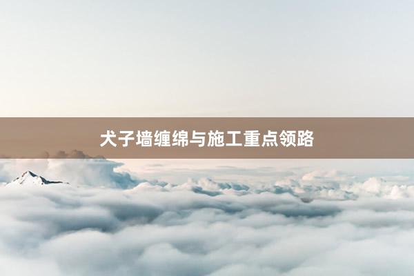 犬子墙缠绵与施工重点领路