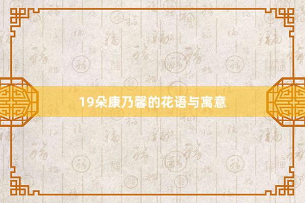19朵康乃馨的花语与寓意