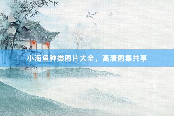 小海鱼种类图片大全，高清图集共享